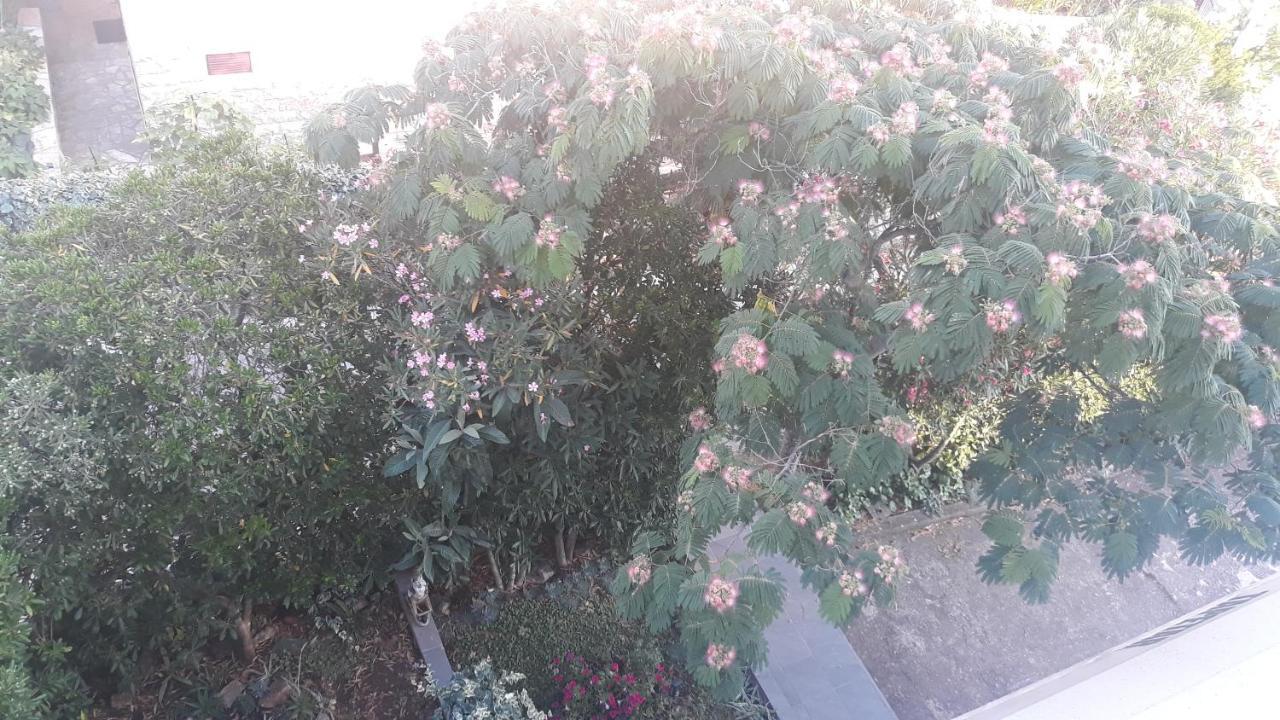 Apartments Suljic - Cash Only Property Stari Grad  Luaran gambar